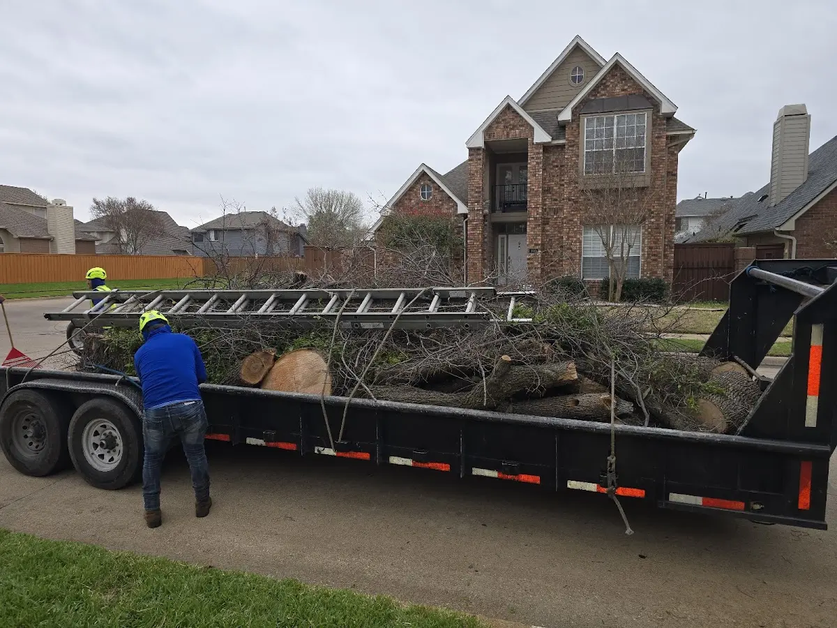 Expert Lot Clearing with proper safety equipment in Douglass